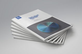 一希品牌設計 東方彩印公司文化宣傳冊設計