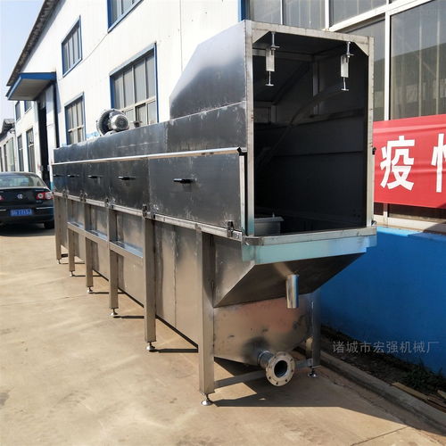 大型流水線家禽浸燙池 現代家禽加工的關鍵設備
