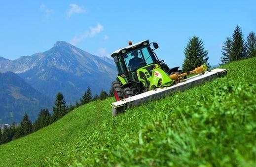 鄉(xiāng)愁的根，在鄉(xiāng)村振興的枝頭綻放